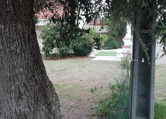 Gonçalo Caldas Da Rainha