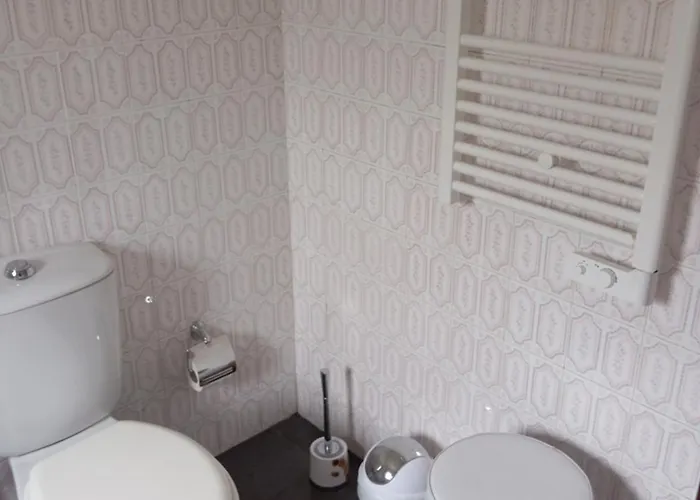 Goncalo Caldas Da Rainha